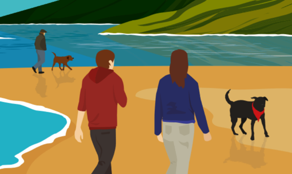 Natural Resources Wales / The Countryside Code: advice for countryside ...