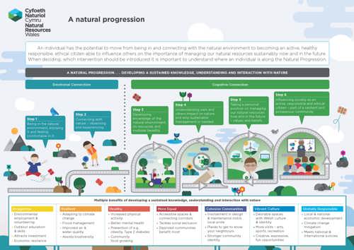 Image of Natural Progression poster