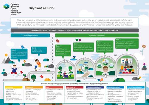 Delwedd o boster Dilyniant Naturiol