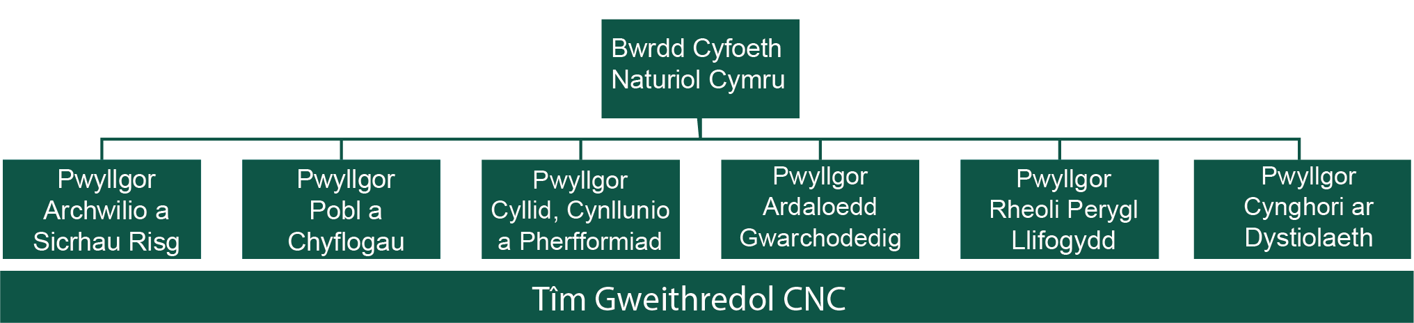 Ein strwythur gweithrediaeth. Esboniwyd y manylion yn y testun cyfagos