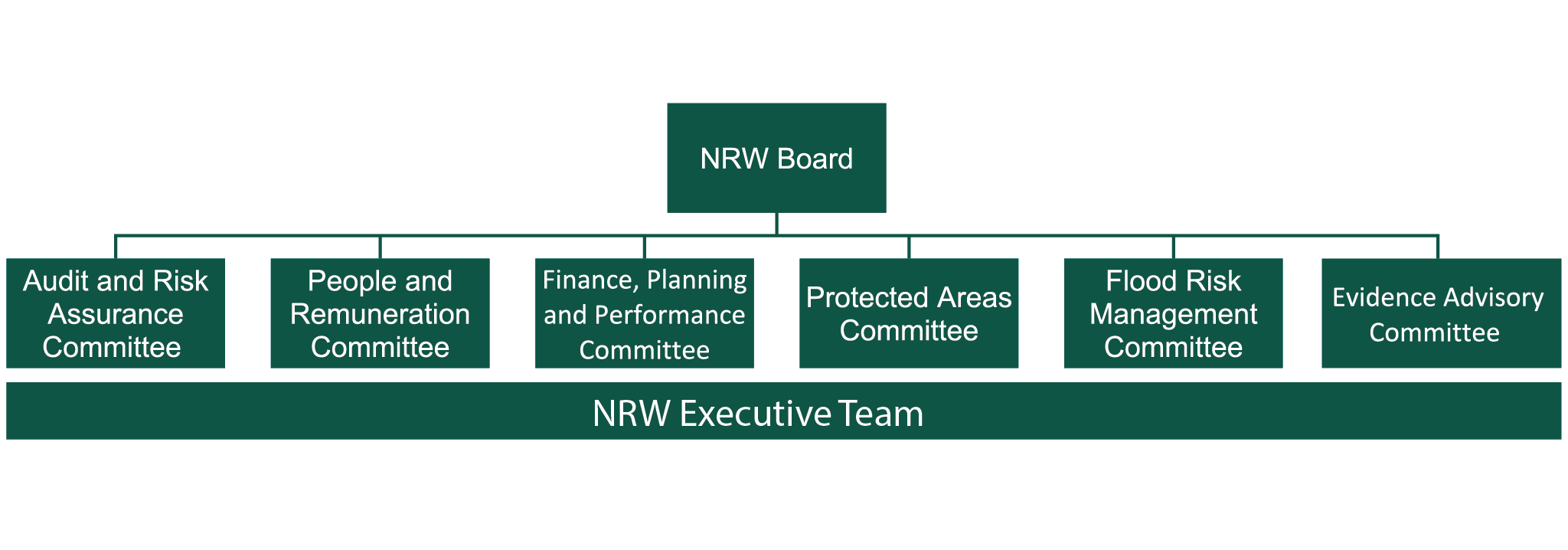 Our governance structure diagram. Details explained in surrounding text.