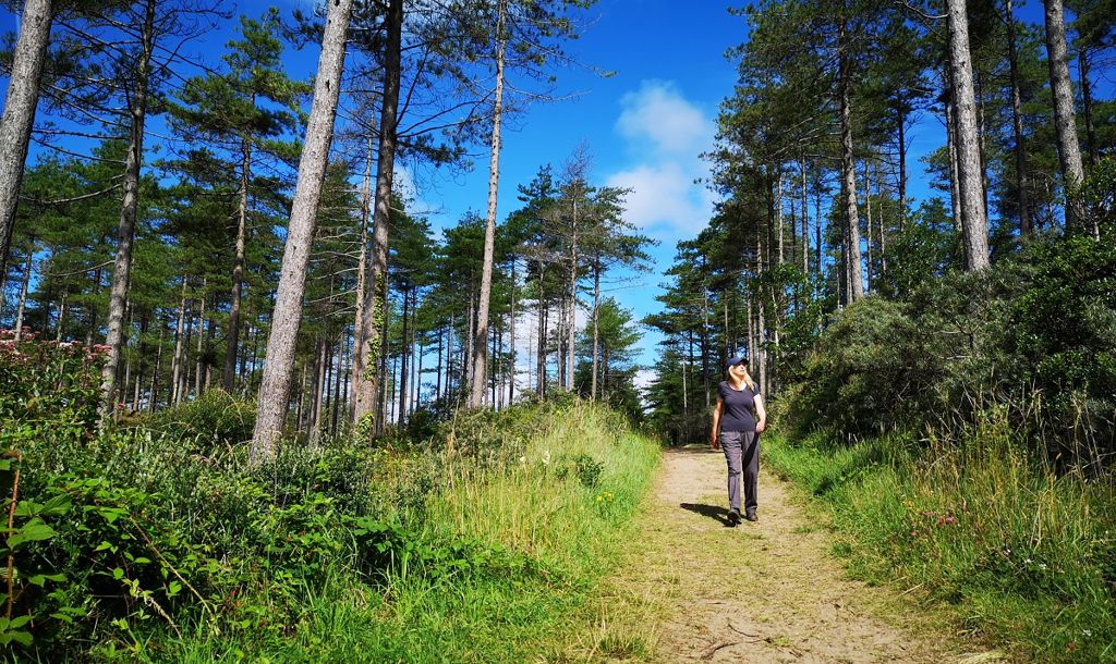 Natural Resources Wales / Stackpole National Nature Reserve, near Pembroke