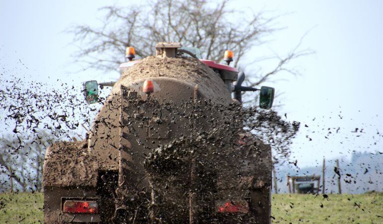 Slyri tractorau'n lledu 